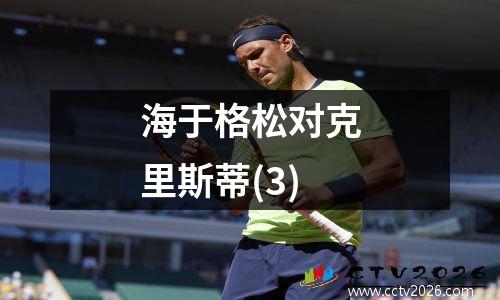 海于格松对克里斯蒂(3)