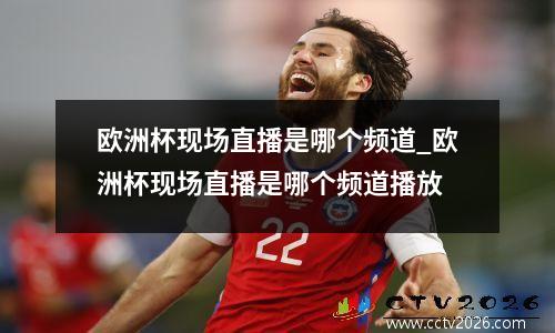 欧洲杯现场直播是哪个频道_欧洲杯现场直播是哪个频道播放