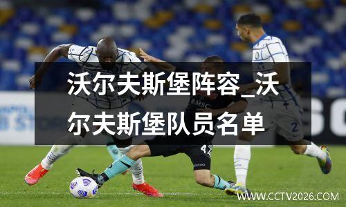 沃尔夫斯堡阵容_沃尔夫斯堡队员名单
