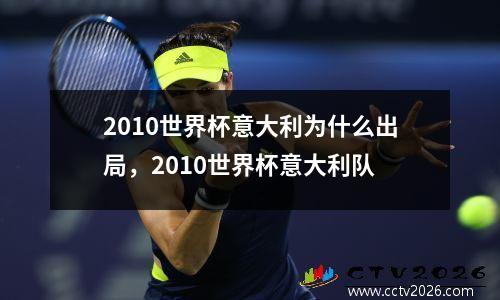 2010世界杯意大利为什么出局，2010世界杯意大利队