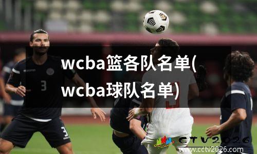 wcba篮各队名单(wcba球队名单)