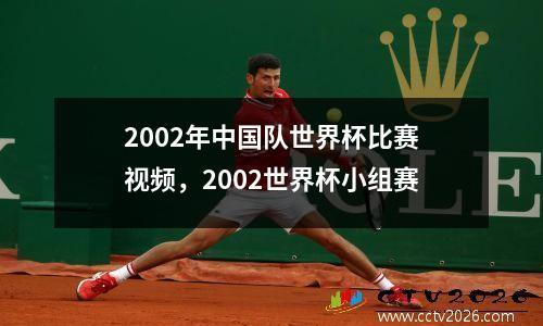 2002年中国队世界杯比赛视频，2002世界杯小组赛