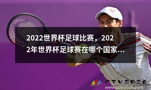 2022世界杯足球比赛，2022年世界杯足球赛在哪个国家举行