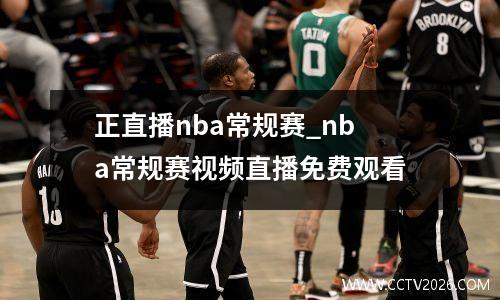 正直播nba常规赛_nba常规赛视频直播免费观看