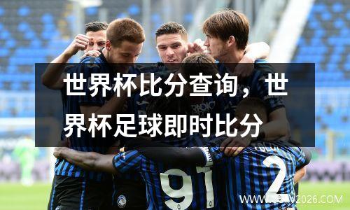世界杯比分查询，世界杯足球即时比分