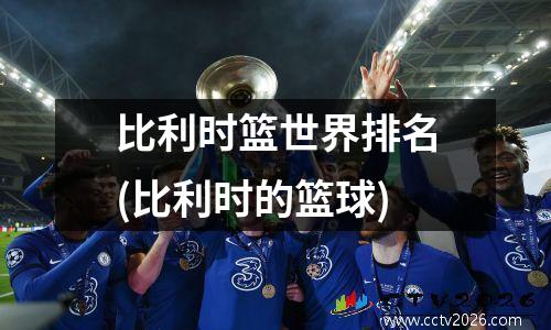 比利时篮世界排名(比利时的篮球)