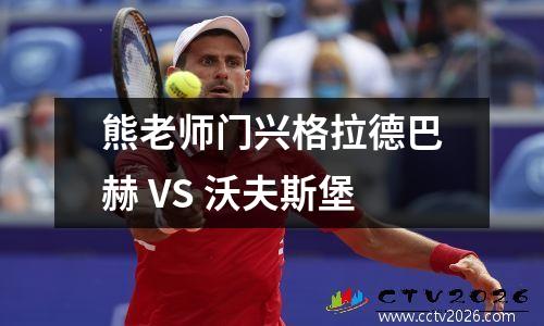 熊老师门兴格拉德巴赫 VS 沃夫斯堡