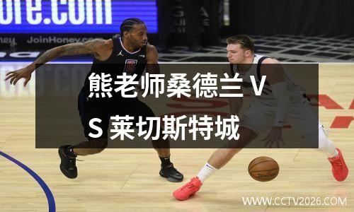 熊老师桑德兰 VS 莱切斯特城