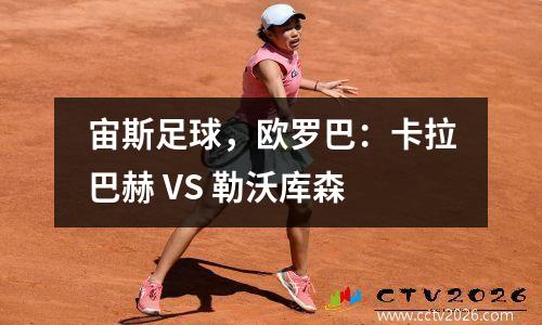 宙斯足球，欧罗巴：卡拉巴赫 VS 勒沃库森