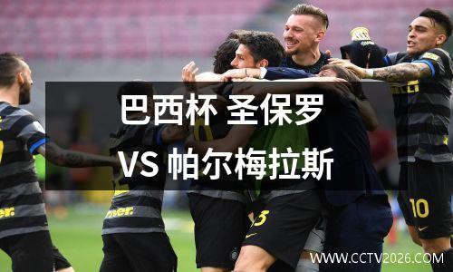 巴西杯 圣保罗 VS 帕尔梅拉斯