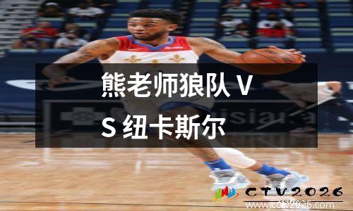 熊老师狼队 VS 纽卡斯尔