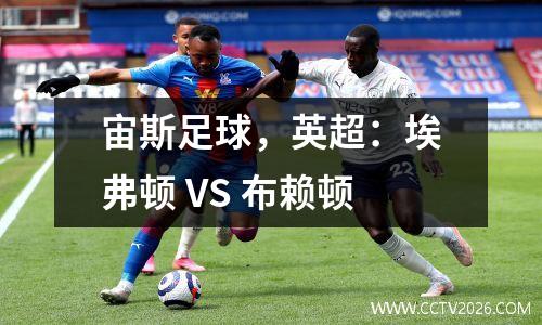 宙斯足球，英超：埃弗顿 VS 布赖顿