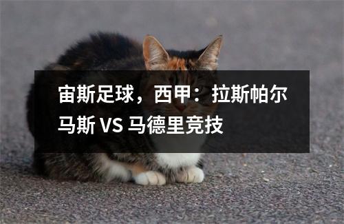 宙斯足球，西甲：拉斯帕尔马斯 VS 马德里竞技