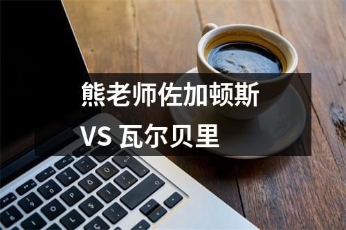熊老师佐加顿斯 VS 瓦尔贝里