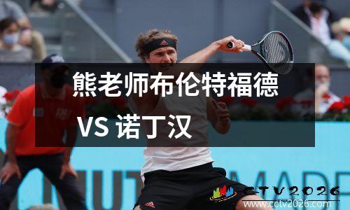 熊老师布伦特福德 VS 诺丁汉
