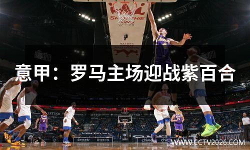 意甲：罗马主场迎战紫百合