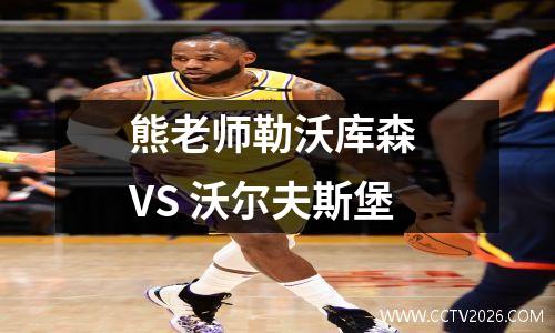 熊老师勒沃库森 VS 沃尔夫斯堡