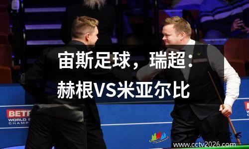 宙斯足球，瑞超：赫根VS米亚尔比