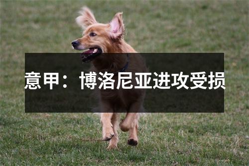 意甲：博洛尼亚进攻受损