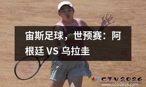 宙斯足球，世预赛：阿根廷 VS 乌拉圭