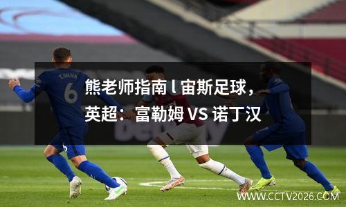 熊老师指南 l 宙斯足球，英超：富勒姆 VS 诺丁汉