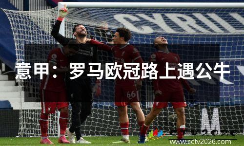 意甲：罗马欧冠路上遇公牛