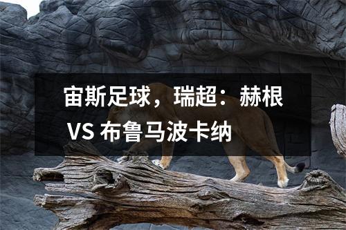 宙斯足球，瑞超：赫根 VS 布鲁马波卡纳