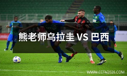熊老师乌拉圭 VS 巴西