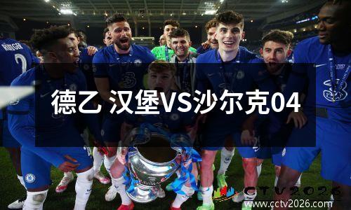 德乙 汉堡VS沙尔克04