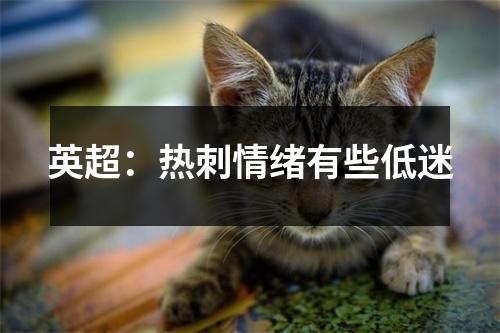 英超：热刺情绪有些低迷