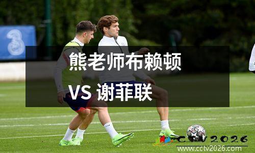 熊老师布赖顿 VS 谢菲联