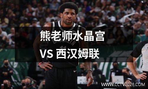 熊老师水晶宫 VS 西汉姆联