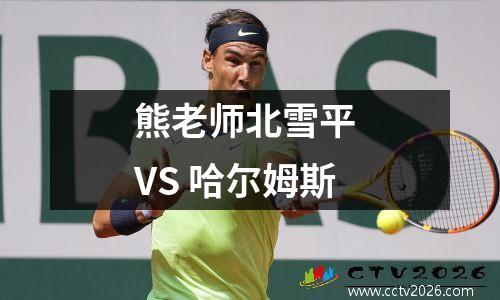 熊老师北雪平 VS 哈尔姆斯