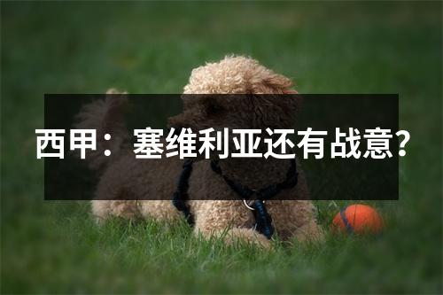 西甲：塞维利亚还有战意？