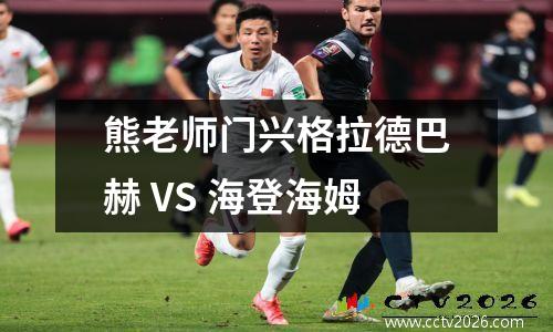 熊老师门兴格拉德巴赫 VS 海登海姆