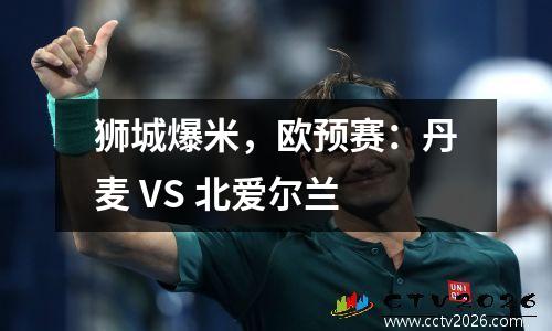 狮城爆米，欧预赛：丹麦 VS 北爱尔兰