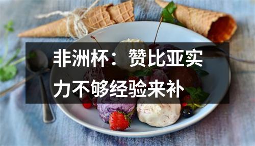 非洲杯：赞比亚实力不够经验来补