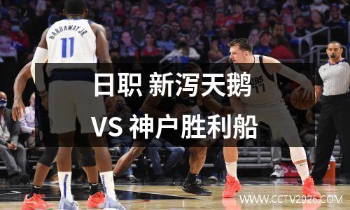日职 新泻天鹅 VS 神户胜利船