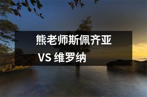 熊老师斯佩齐亚 VS 维罗纳