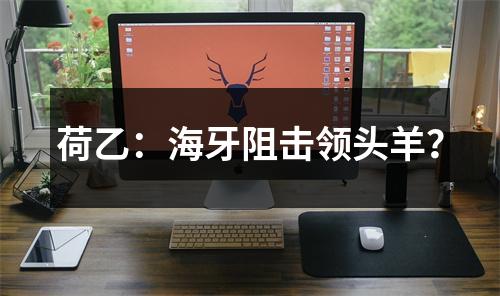 荷乙：海牙阻击领头羊？