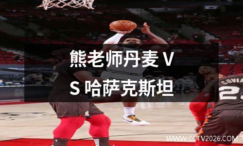 熊老师丹麦 VS 哈萨克斯坦