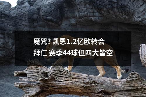 魔咒? 凯恩1.2亿欧转会拜仁 赛季44球但四大皆空