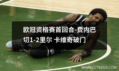 欧冠资格赛首回合-费内巴切1-2里尔 卡维奇破门