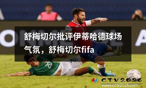 舒梅切尔批评伊蒂哈德球场气氛，舒梅切尔fifa