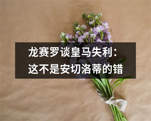 龙赛罗谈皇马失利：这不是安切洛蒂的错