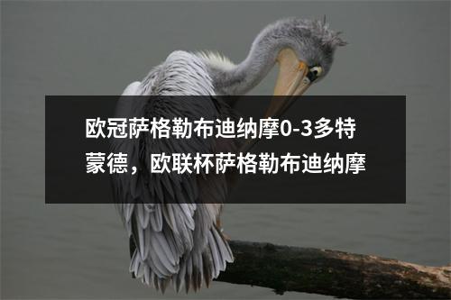 欧冠萨格勒布迪纳摩0-3多特蒙德，欧联杯萨格勒布迪纳摩