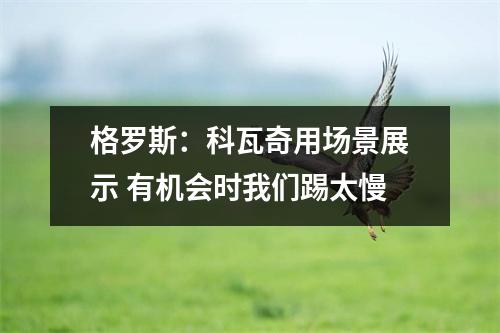 格罗斯：科瓦奇用场景展示 有机会时我们踢太慢