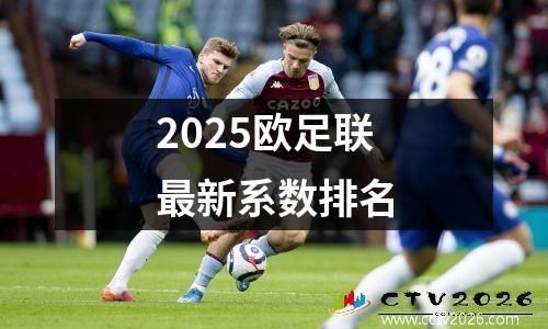 2025欧足联最新系数排名