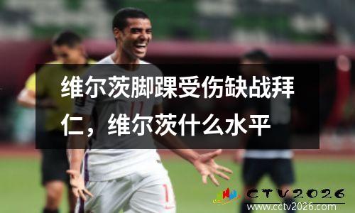 维尔茨脚踝受伤缺战拜仁，维尔茨什么水平