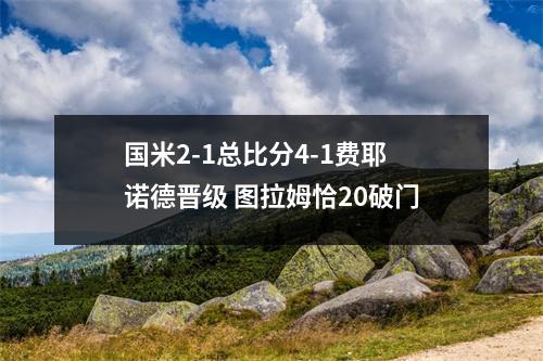 国米2-1总比分4-1费耶诺德晋级 图拉姆恰20破门